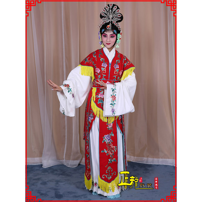 合肥戏曲服装舞台演出红娘装